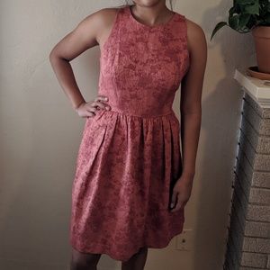 Pink The Limited Dress